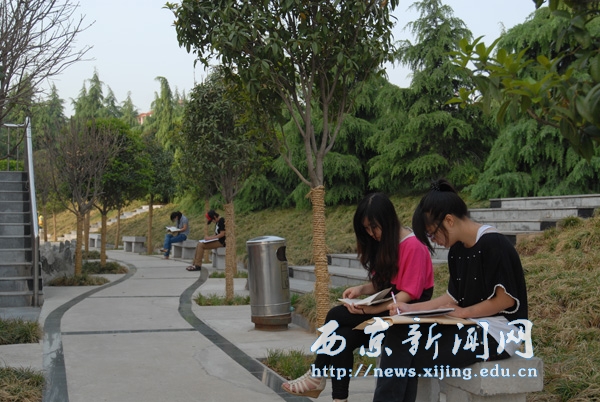 满城盛开长安花 西京园里好读书