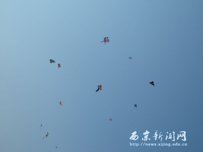 我校举行第二届学生风筝节比赛