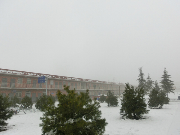 西京园·素雪更胜江南春