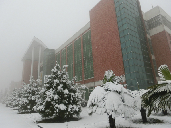 西京园·素雪更胜江南春