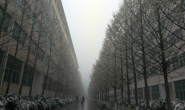 西京园·素雪更胜江南春