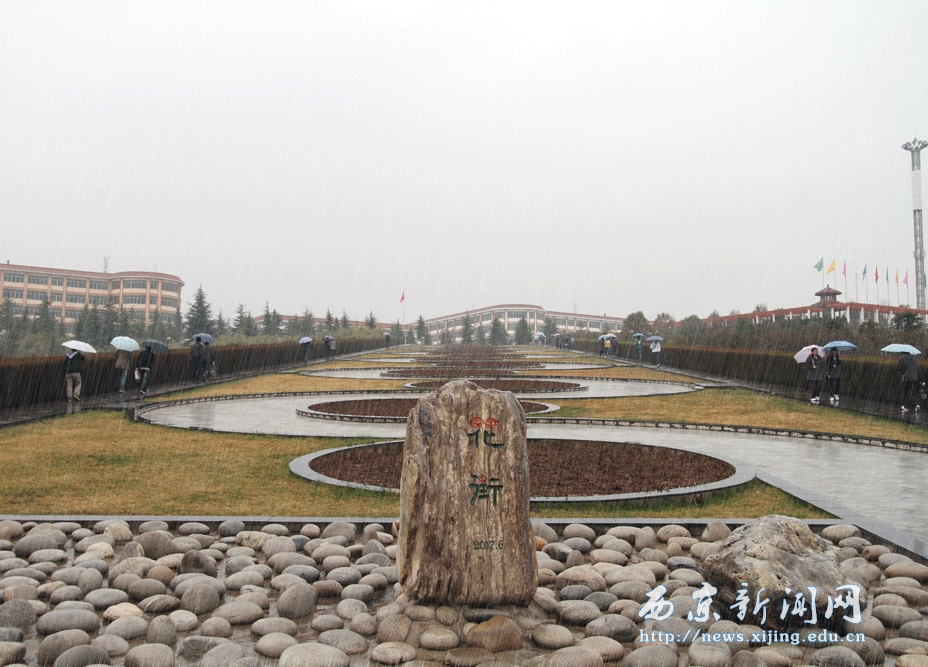 【图】西京 雨中即景