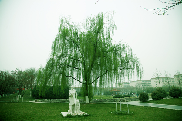 西京园：春归四月，你好