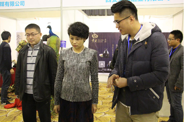 我校参加第三届陕西省青年创新创业大赛成果交流会