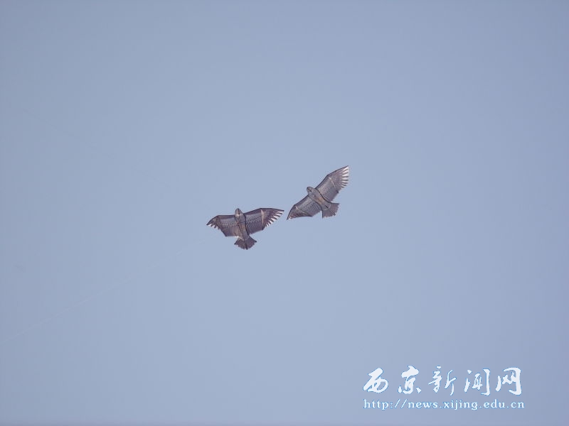 我校举行第二届学生风筝节比赛