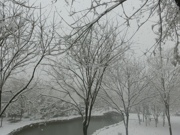 西京园·素雪更胜江南春