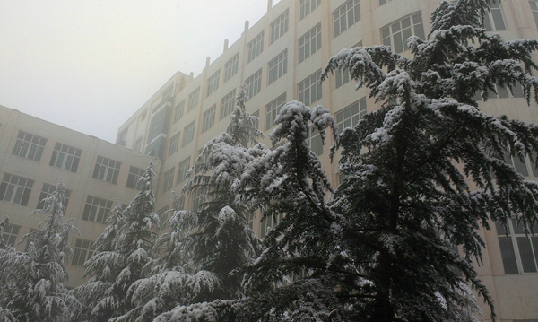 西京园·素雪更胜江南春