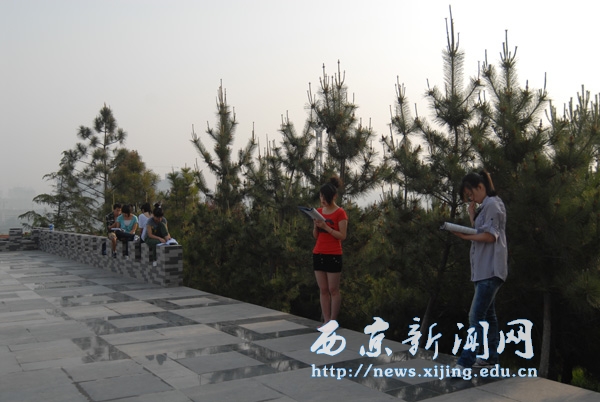 满城盛开长安花 西京园里好读书