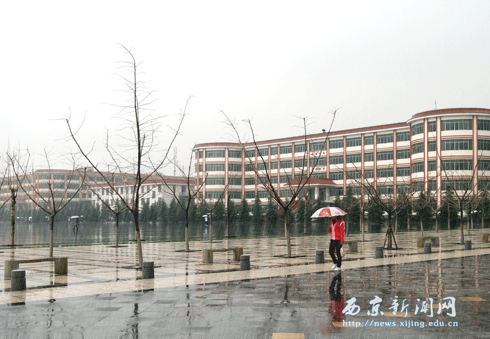 【图】西京 雨中即景