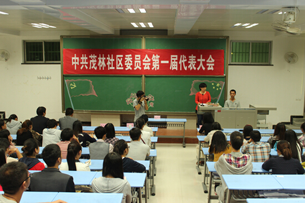 各基层党组织换届选举大会举行