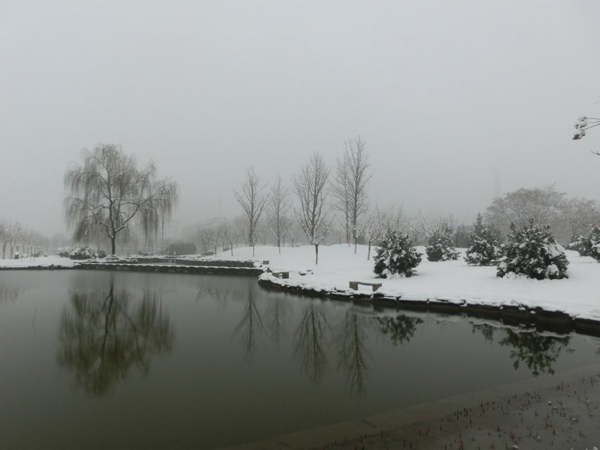西京园·素雪更胜江南春