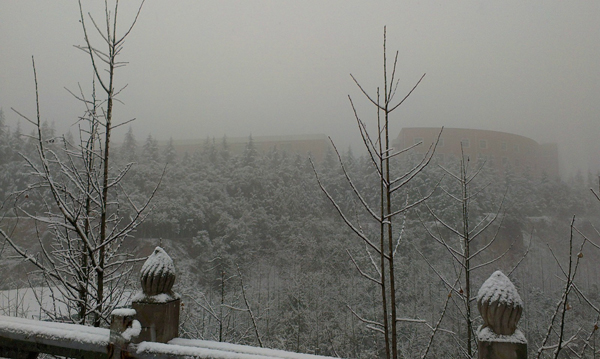 西京园·素雪更胜江南春