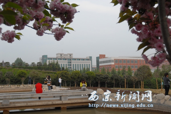 满城盛开长安花 西京园里好读书