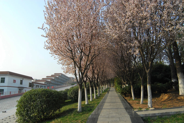 西京大观园:最美13景