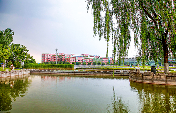 媒体聚焦:西京学院 春风化雨润桃李