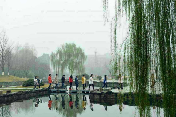 西京园·你是我不期而遇的温暖