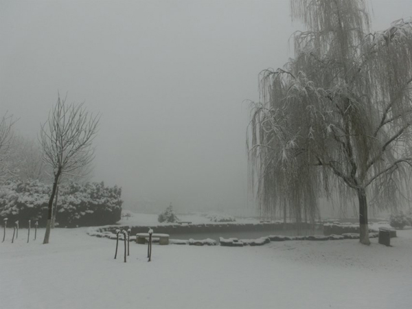 西京园·素雪更胜江南春