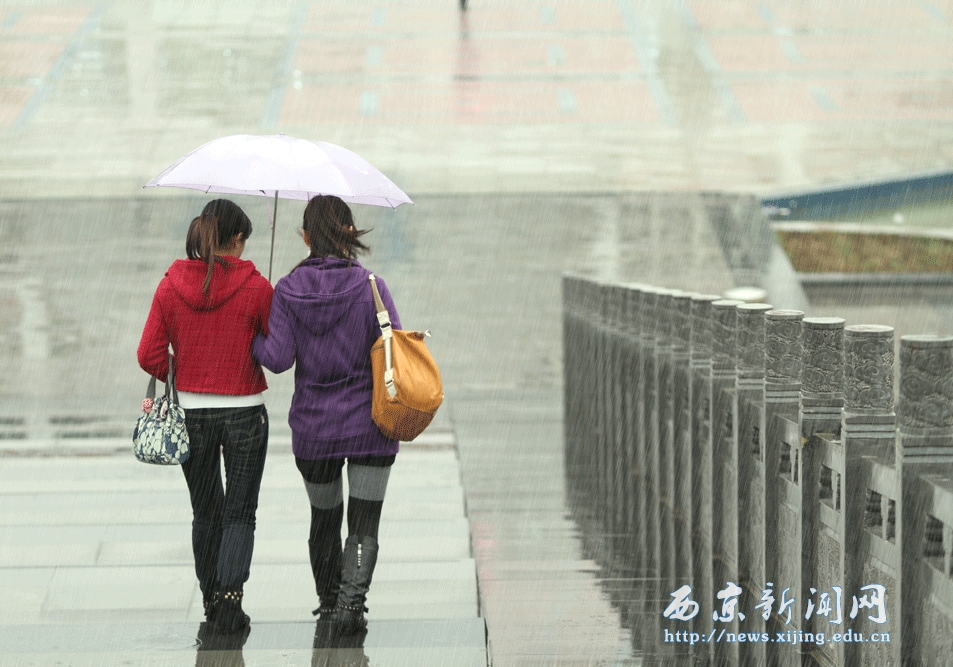 【图】西京 雨中即景
