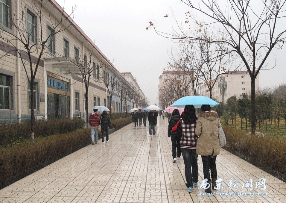 【图】西京 雨中即景