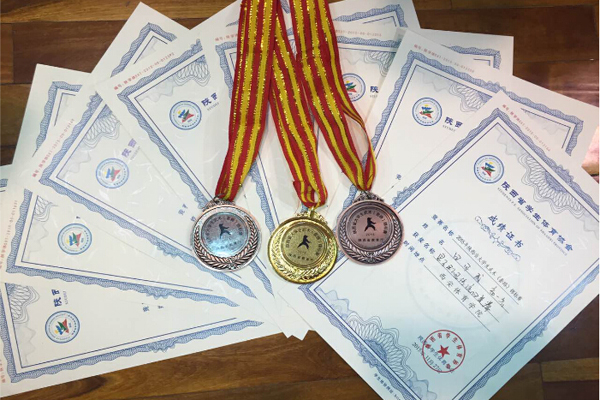 学子在省大学生武术锦标赛中获佳绩