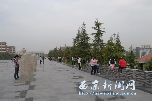 满城盛开长安花 西京园里好读书