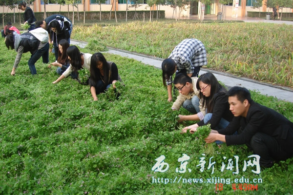 【管理科学系】入党积极分子参加义务劳动