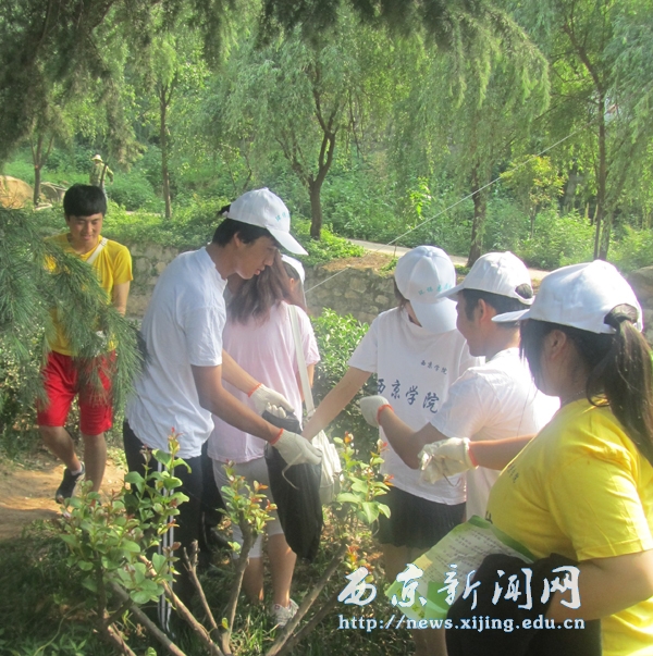 团委开展学雷锋主题系列活动