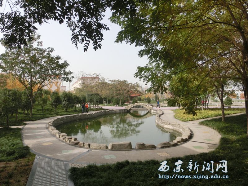 冬季绿化苗木清点工作全面展开