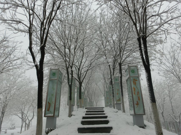 西京园·素雪更胜江南春