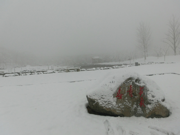 西京园·素雪更胜江南春