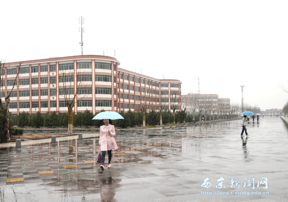 【图】西京 雨中即景