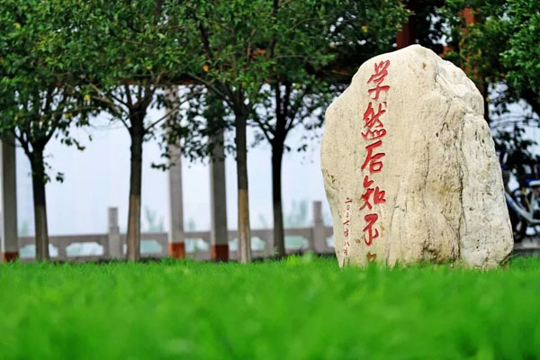 西京园·你是我不期而遇的温暖