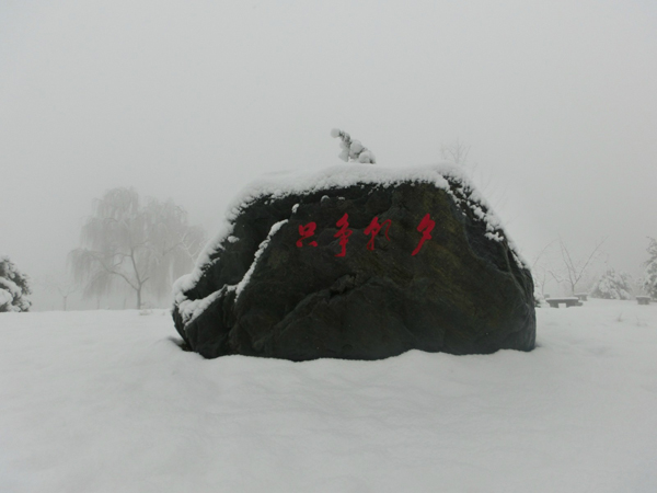 西京园·素雪更胜江南春
