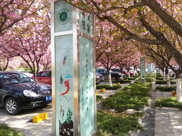 西京园·你是我不期而遇的温暖