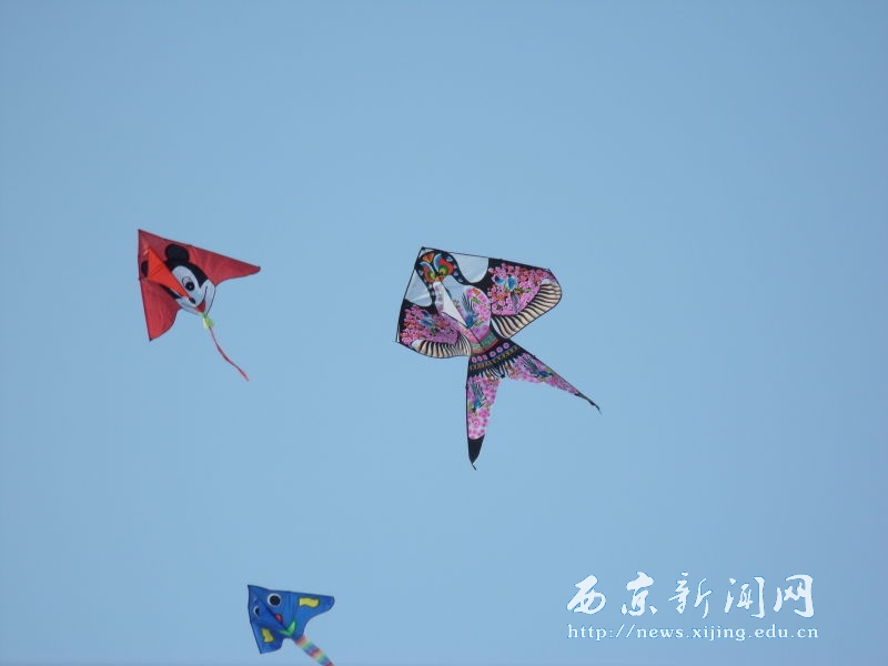 我校举行第二届学生风筝节比赛