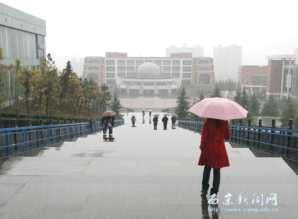 【图】西京 雨中即景