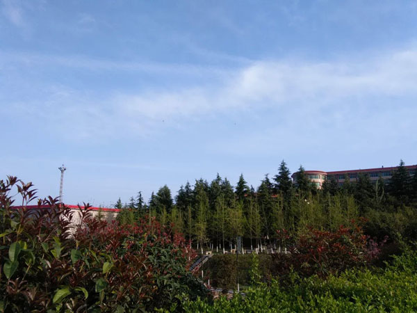 西京园·你是我不期而遇的温暖