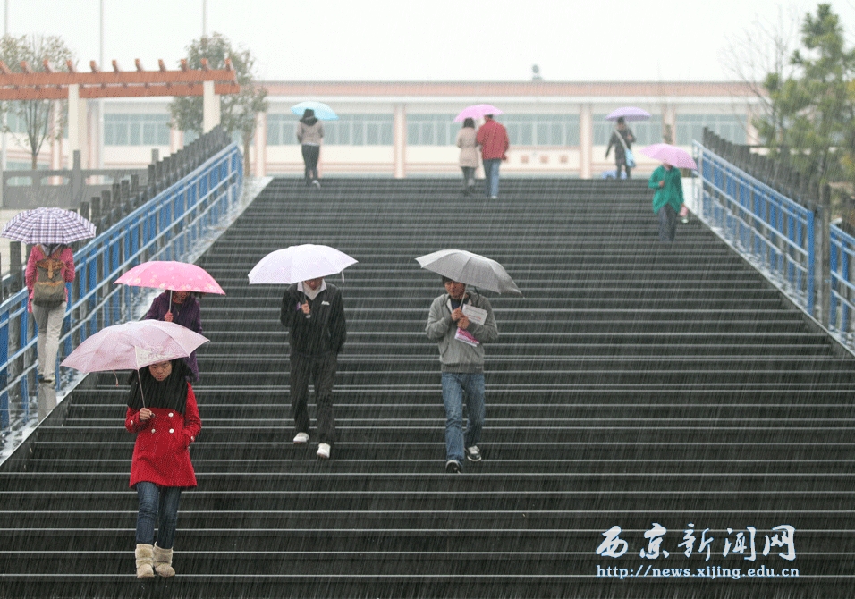 【图】西京 雨中即景