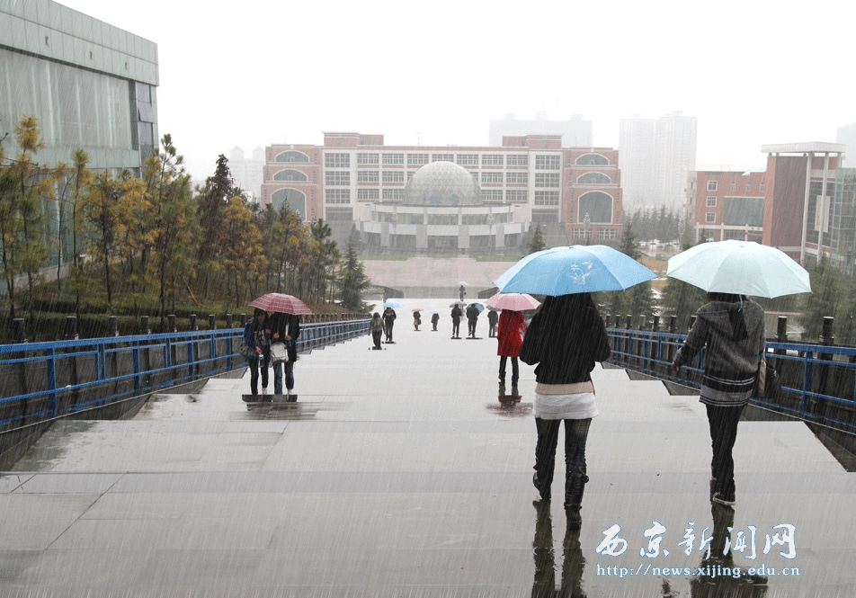 【图】西京 雨中即景