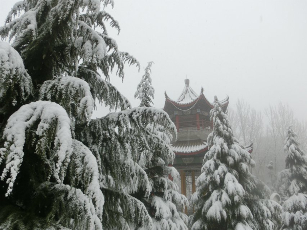 西京园·素雪更胜江南春