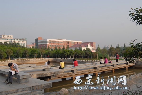 满城盛开长安花 西京园里好读书