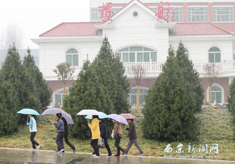 【图】西京 雨中即景