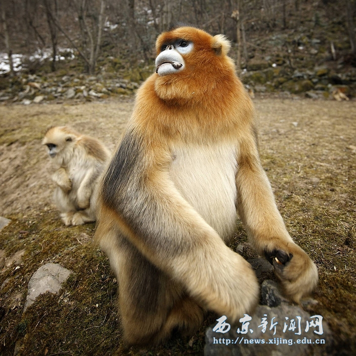 我院副院长黑林摄影作品在国际摄影展上亮相