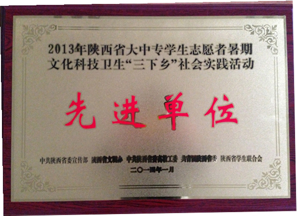 “三下乡”社会实践获佳绩
