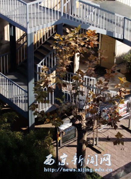 【人文科学系】新闻摄影大赛揭晓