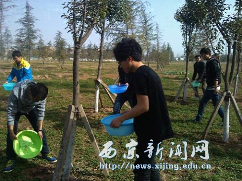 【基础部】开展植绿护绿主题活动