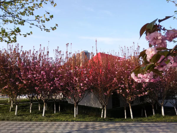 西京园·你是我不期而遇的温暖