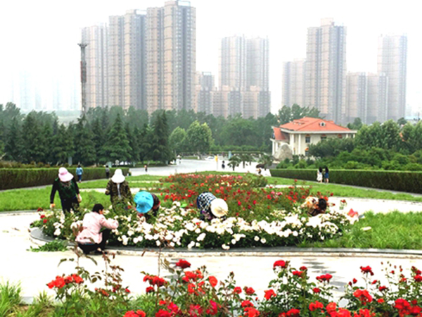 多措并举加强校园环境建设上台阶