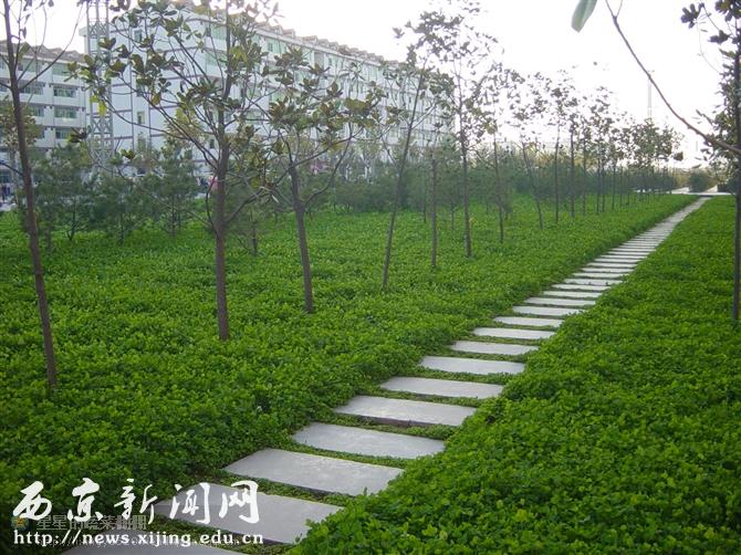 点击浏览下一页