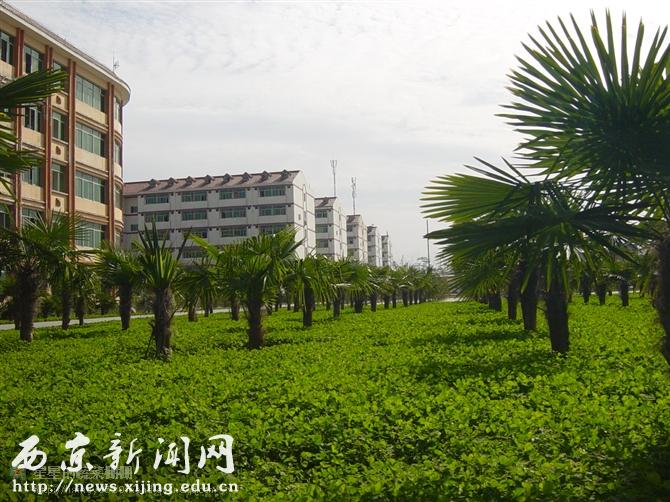 点击浏览下一页